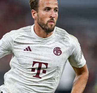 有可能是他 有可能是他